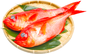 鮮魚