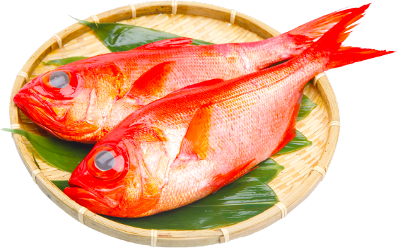 鮮魚