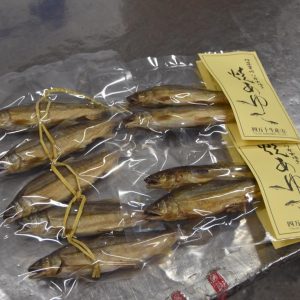 582819288_1537151360789772_674334529117561089_n