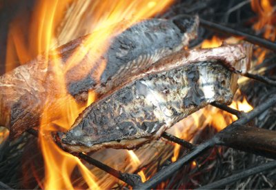 業務用かつお藁焼きたたき